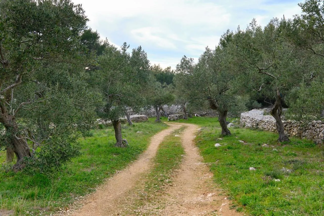 Casa Aromatica Maria Villa Mali Losinj 0*,  Croatia